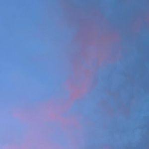 Meet your Posher, Laila